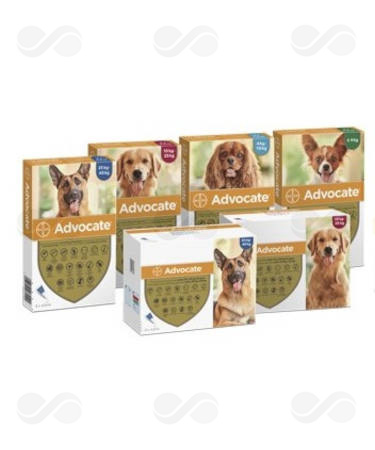 ADVOCATE 400 PERROS DE 25 A 40 KG 3 PIP