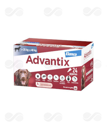 ADVANTIX 24 x 4.0 (> 25 KG)
