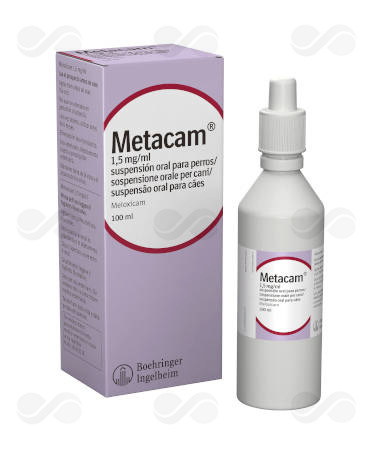 METACAM SUSPENSION ORAL 100 ML