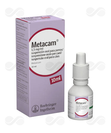 METACAM SUSPENSION ORAL 10 ML