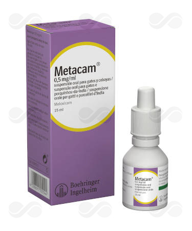 METACAM GATO ORAL 15 ML