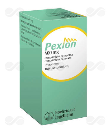 PEXION 400 MG 100 COMPRIMIDOS