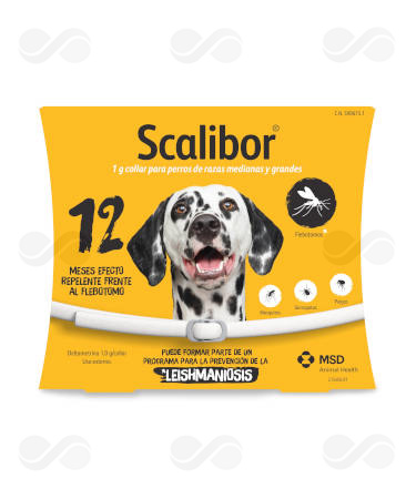 SCALIBOR 1 GR 65 CM COLLAR PERRO MEDIANO-GRANDE