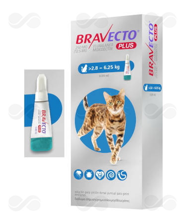 BRAVECTO PLUS CAT 250 MG 2,8-6,25 KG 1 PIPETA