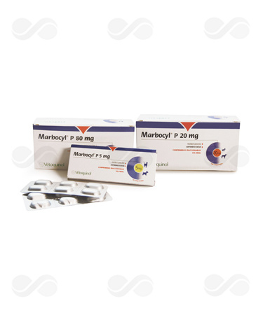 MARBOCYL PALATABLE 20 MG 100 COMPRIMIDOS