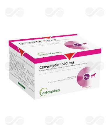 CLAVASEPTIN 500 MG 100 COMPRIMIDOS