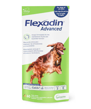 FLEXADIN ADVANCE COL2 60 COMPRIMIDOS MASTICABLES