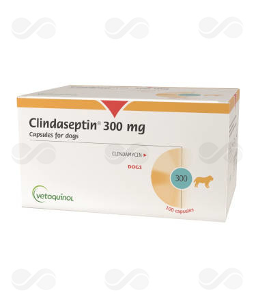 CLINDASEPTIN 300 MG 100 CAPSULAS