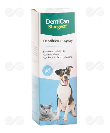 DENTICAN SPRAY 125 ML