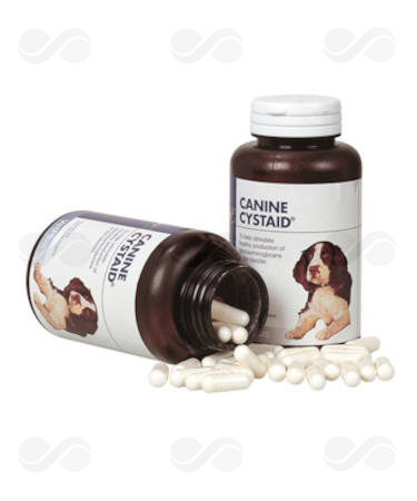 CYSTAID CANINE 120 CAPSULAS