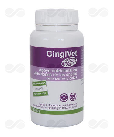 GINGIVET 60 COMPRIMIDOS