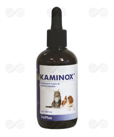 KAMINOX 120 ML