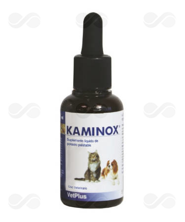 KAMINOX 60 ML