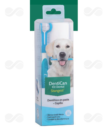 KIT DENTAL CEPILLO+PASTA