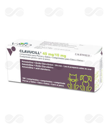 CLAVUCILL 50 MG 100 COMPRIMIDOS