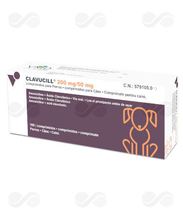 CLAVUCILL 250 MG 100 COMPRIMIDOS