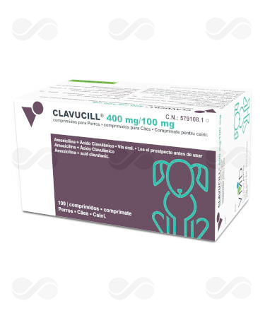 CLAVUCILL 500 MG 100 COMPRIMIDOS