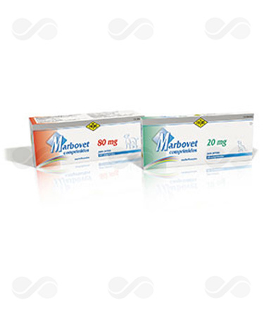 MARBOVET 80 MG 100 COMP PERRO