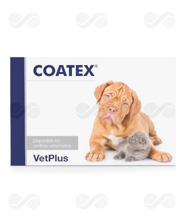 COATEX 4 x 60  240 CAPSULAS