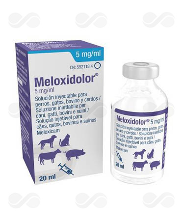 MELOXIDOLOR 5 MG/ML 20 ML