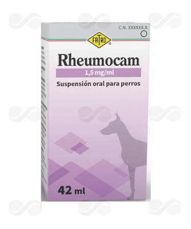 RHEUMOCAM ORAL PERROS 42 ML