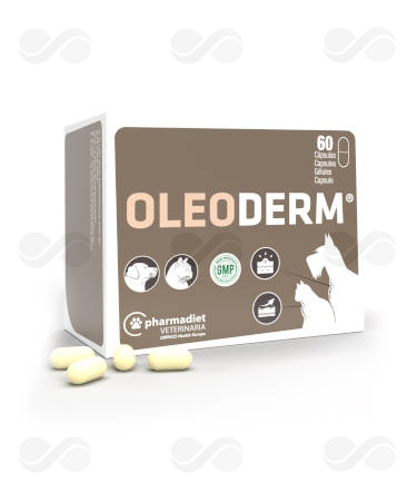 OLEODERM 60 CAPSULAS