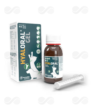 HYALORAL CACHORROS Y GATOS GEL 50 ML