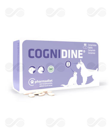 COGNIDINE 60 COMPRIMIDOS