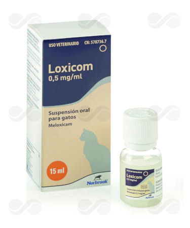 LOXICOM GATOS 15 ML