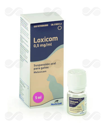 LOXICOM GATOS 5 ML
