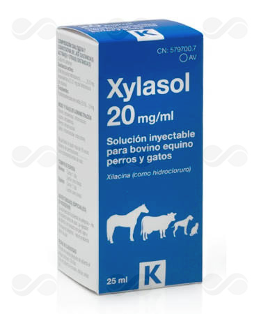 XYLASOL 25 ML