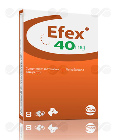 EFEX 40 MG 8 COMPRIMIDOS