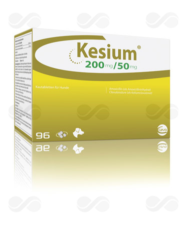 KESIUM 250 MG 96 COMPRIMIDOS