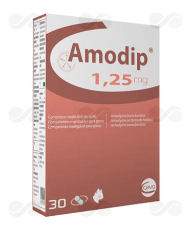 AMODIP 1,25 MG 30 COMPRIMIDOS MASTICABLES GATOS