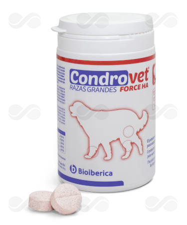 CONDROVET FORCE HA RAZAS GRANDES 80 COMP