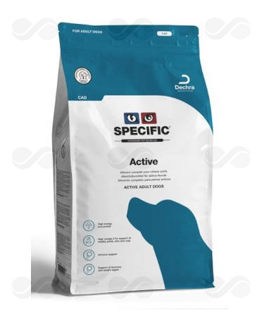 ADULT ACTIVE CAD 12 KG