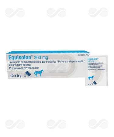 EQUISOLON 300 MG 10 SOBRES