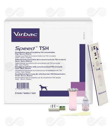 SPEED TSH 6 TEST