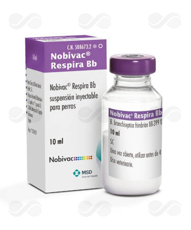 NOBIVAC RESPIRA BB 1 VIAL x 10 DS