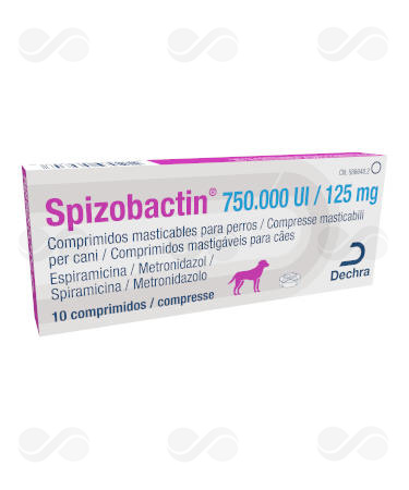 SPIZOBACTIN 750.000 UI/ 125 MG 10 COMP