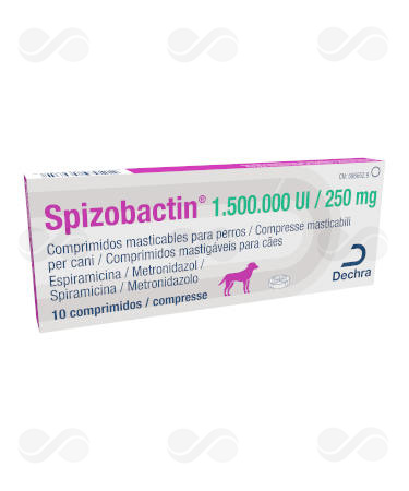 SPIZOBACTIN 1.500.000 UI/ 250 MG 10 COMP