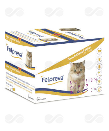 FELPREVA GATO MEDIANO >2,5-5 KG 10 PIP