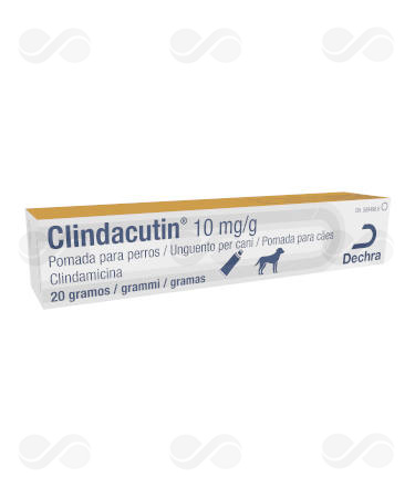 CLINDACUTIN 20 GR