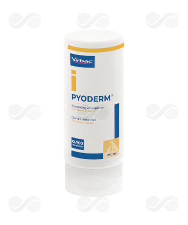 PYODERM CHAMPU 250 ML