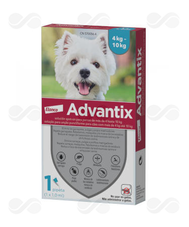 ADVANTIX 1 PIP x 1 ML (4-10 KG)