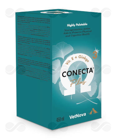 CONECTA PLUS 450 ML