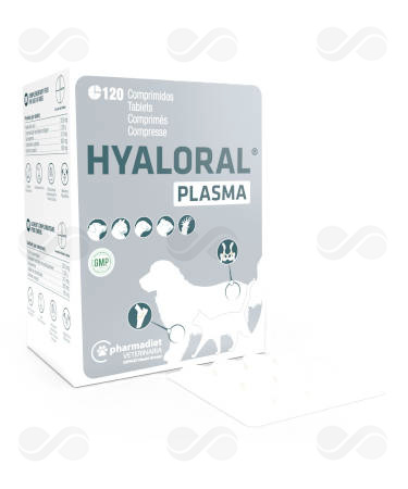 HYALORAL PLASMA 120 COMP
