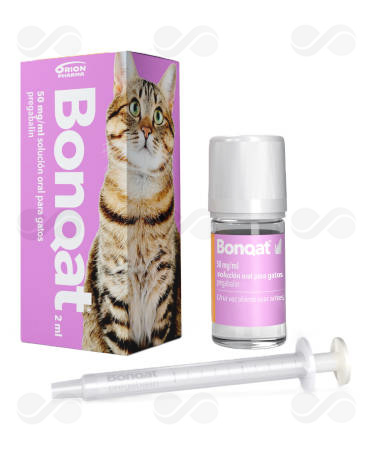BONQAT 50 MG/ML SOL ORAL GATOS 2 ML