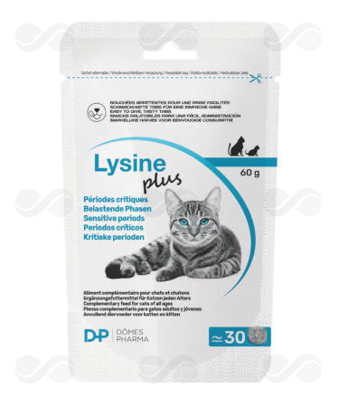 LYSINE PLUS 30 COMP x 2 GR