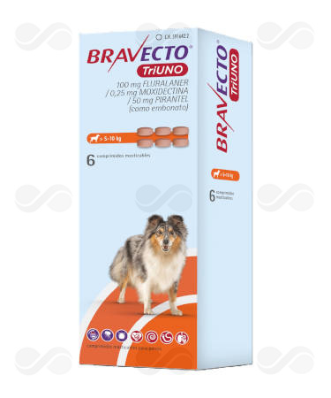 BRAVECTO TRIUNO 100 MG 6 COMP MAST >5-10 KG